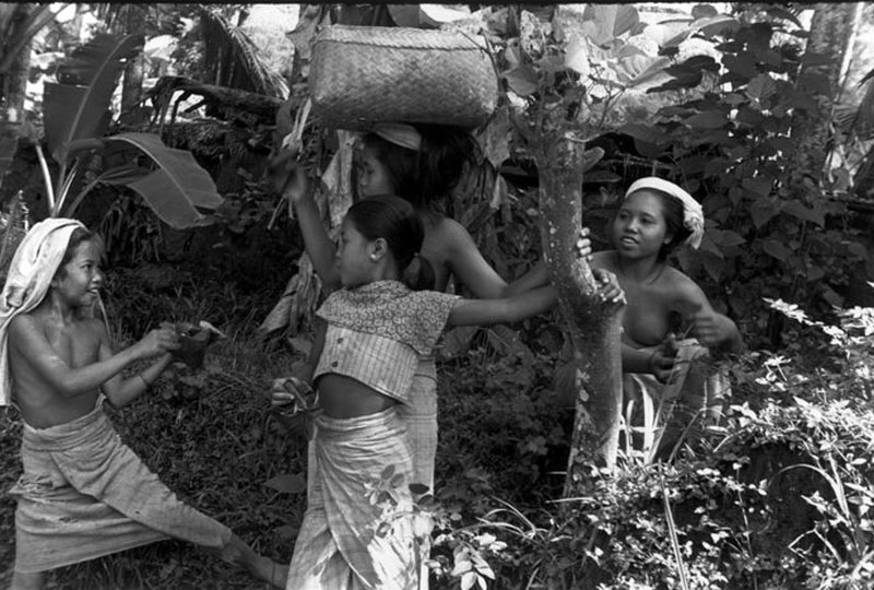 1949年的巴厘岛