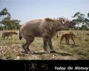 世界史上最为复杂的狗 体重高出300公斤的巨鬣狗