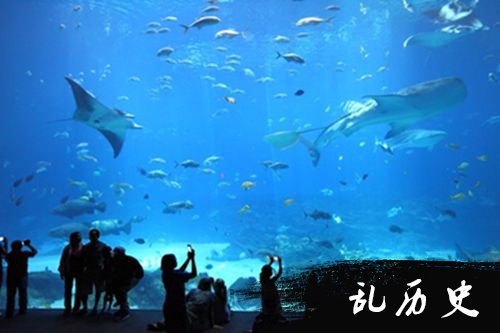 新佐治亚水族馆