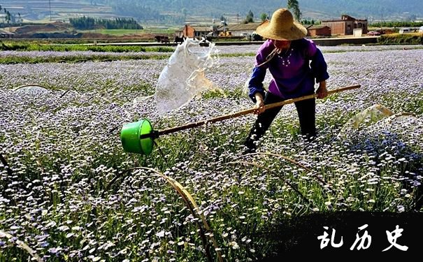 梦见给草浇水