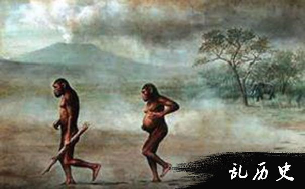 人类祖先