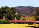 梦见高山