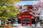 日本十大最具特色的神社 日本旅游不可错过的好去处