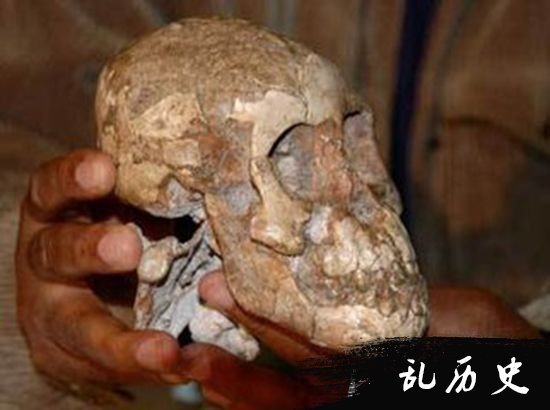 河南发现人类化石 疑似与欧洲古人类之间存在基因交流
