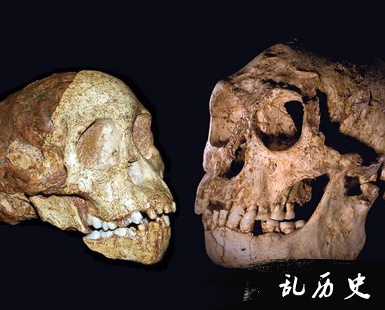 河南发现人类化石 疑似与欧洲古人类之间存在基因交流