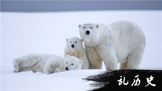 霍金凭什么预言地球毁灭 霍金五大预言揭晓