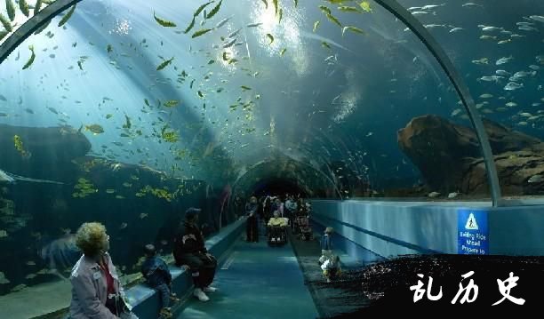 世界上最大的水族馆实在是太美了