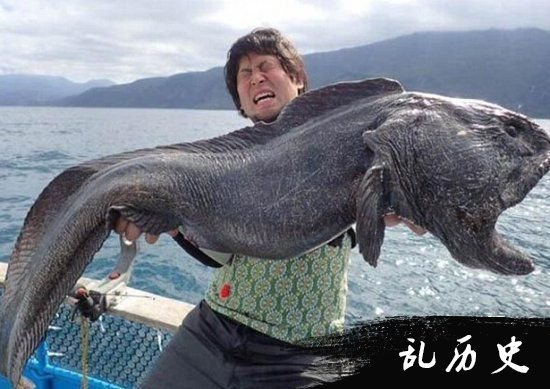 巨型狼鱼长这样 是来自深海的怪物