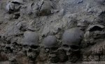 墨西哥骷髅塔考古出土“女人头颅”