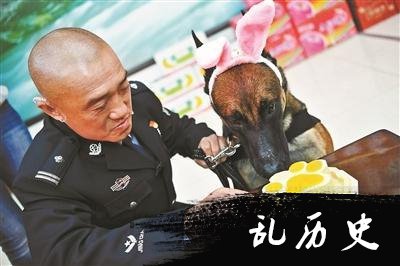 公安警犬集体过生日