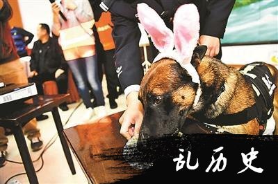 公安警犬集体过生日