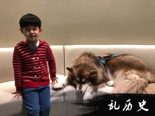 安吉与狗狗有爱互动 网友一眼认出是王思聪爱犬