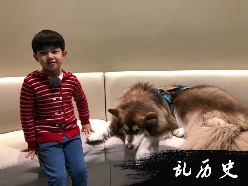 安吉与狗狗有爱互动 网友一眼认出是王思聪爱犬