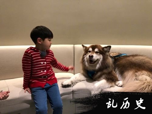 安吉与狗狗有爱互动 网友一眼认出是王思聪爱犬