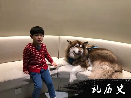 安吉与狗狗有爱互动 网友一眼认出是王思聪爱犬