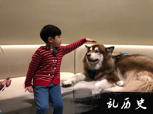 安吉与狗狗有爱互动 网友一眼认出是王思聪爱犬