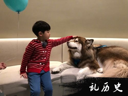 安吉与狗狗有爱互动 网友一眼认出是王思聪爱犬