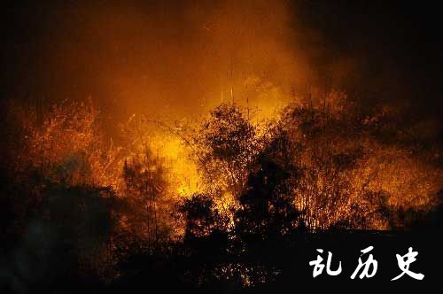 重庆主城区发生大面积山火