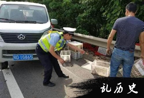 交警帮忙捡虾