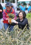 香蕉崩完凤梨崩 台湾水果滞销农民苦不堪言